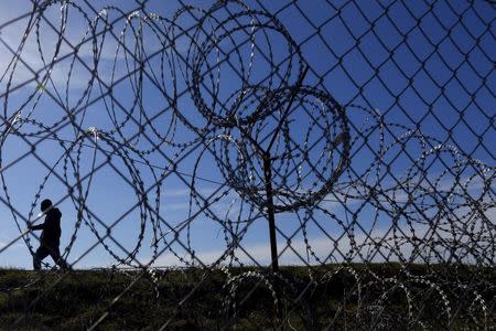 Migrants walk along Hungary's border fence on the Serbian side of the border near Morahalom, Hungary, February 22, 2016, REUTERS/Laszlo Balogh