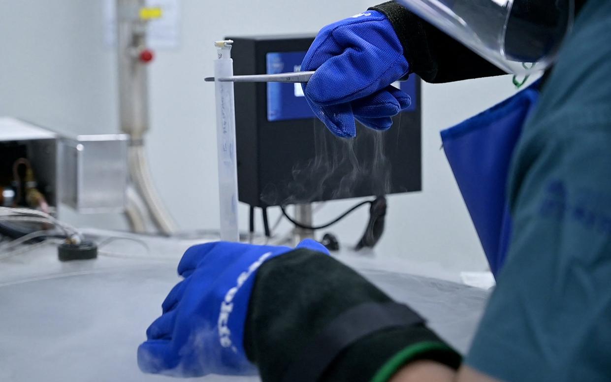 A researcher checking on frozen eggs