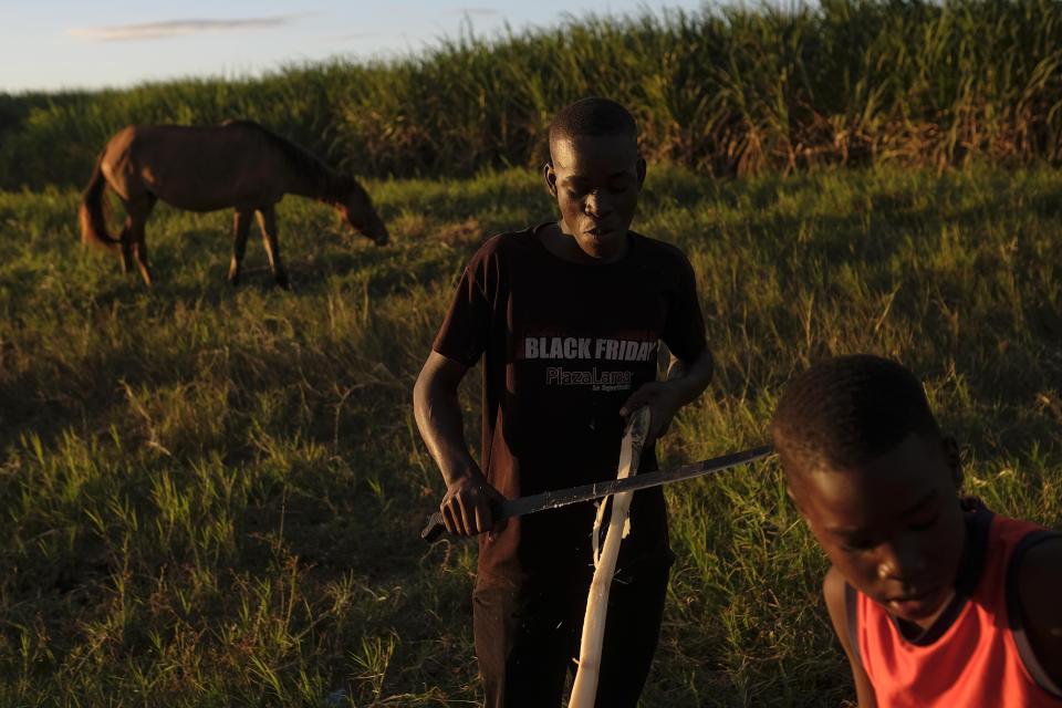 A young Haitian migrant shaves a stalk of sugarcane in the Batey La Lima community, an impoverished community surrounded by a massive sugarcane plantation in the coastal city of La Romana, Dominican Republic, Wednesday, Nov. 17, 2021. As the rest of the world closes its doors to Haitian migrants, the country that shares an island with Haiti also is cracking down in a way that human rights activists say hasn’t been seen in decades. (AP Photo/Matias Delacroix)