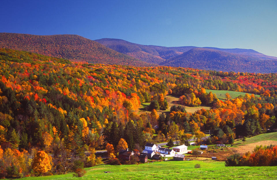 Autumn foliage in the Bershire Hills region of Massachusetts