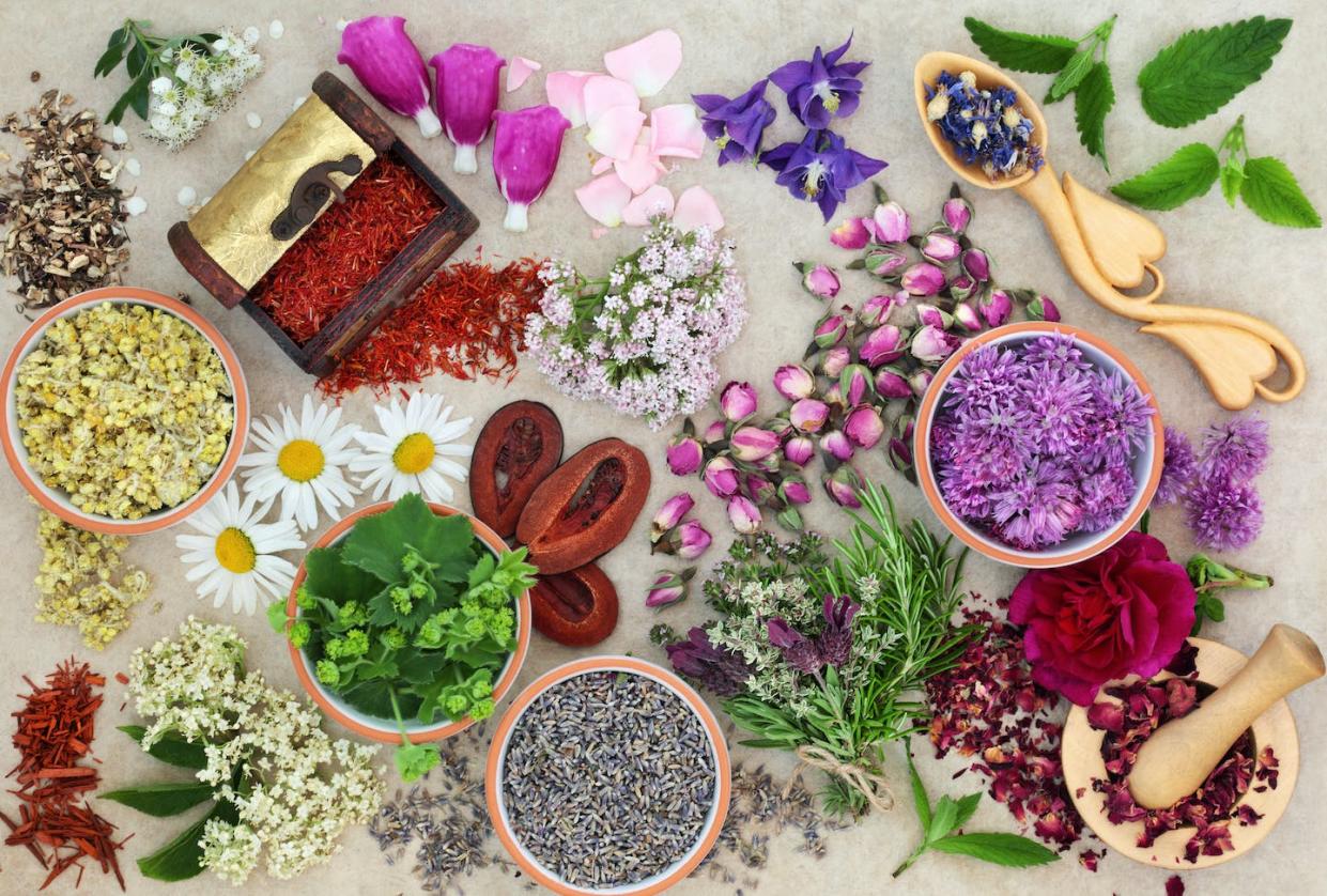 <a href="https://www.shutterstock.com/es/image-photo/herbs-flowers-used-alternative-herbal-medicine-754722400" rel="nofollow noopener" target="_blank" data-ylk="slk:marilyn barbone/Shutterstock;elm:context_link;itc:0;sec:content-canvas" class="link ">marilyn barbone/Shutterstock</a>