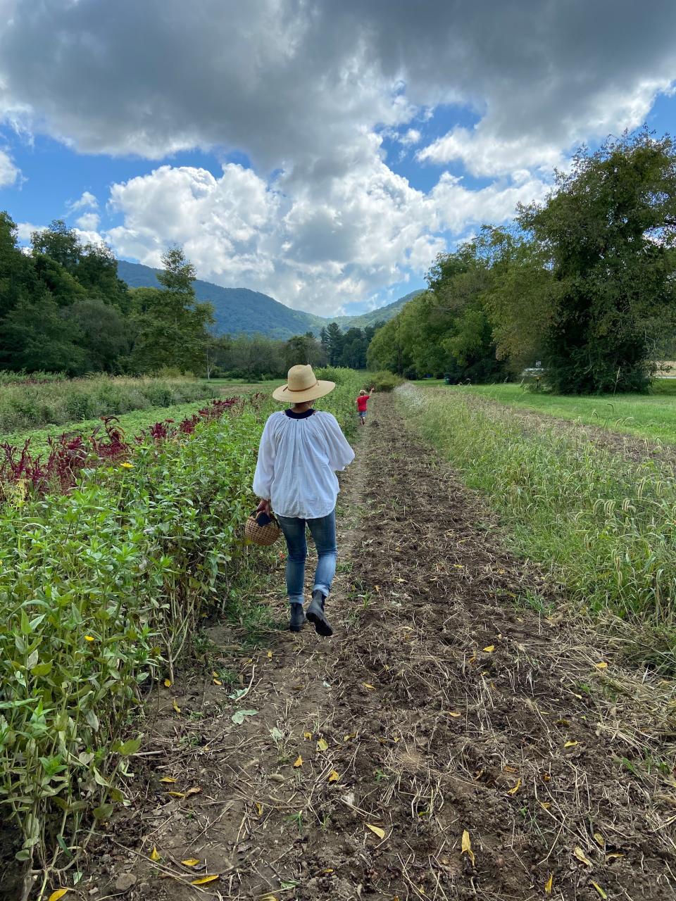 ASAP's Farm Tour, Sept. 23-24, 2023, will allow the public to visit and learn about farms across the region, including Flying Cloud Farm in Fairview County.