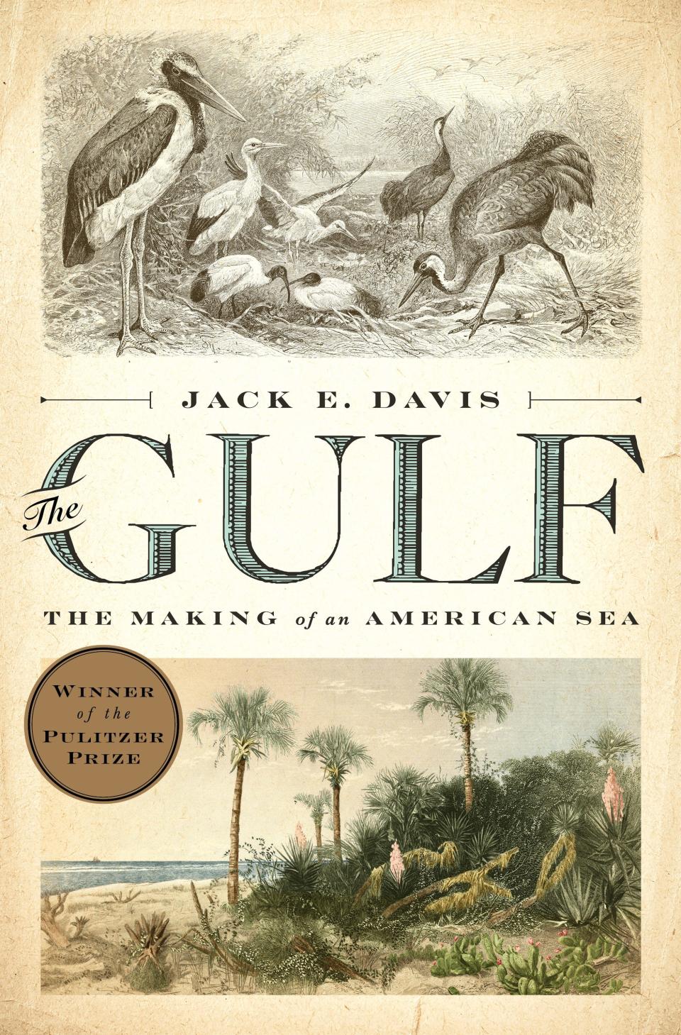 Jack E. Davis won the Pulitzer Prize for "The Gulf: The Making of An American Sea." Davis will discuss his latest book, "The Bald Eagle: The Improbable Journey of America's Bird," in the Collier Friends of the Library's Nonfiction Author Series on Feb. 26, 2024, at the Hilton Naples.