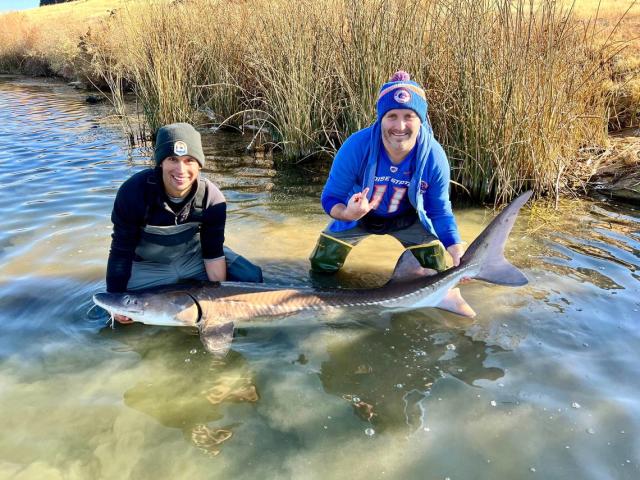 Want to catch an Idaho dinosaur? Follow these simple fishing tips to land a  sturgeon