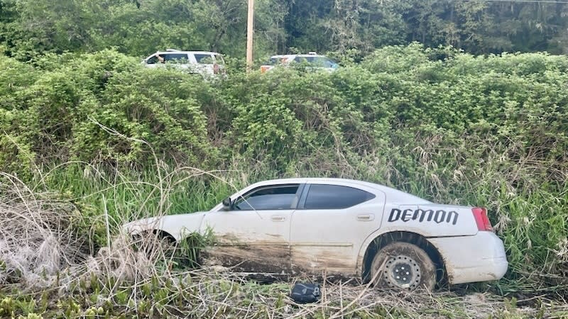 Lisa L. Sullivan of Cornelius was arrested after allegedly causing two crashes before going over an embankment along Highway 47 in Forest Grove, April 28, 2024 (Washington County Sheriff's Office)