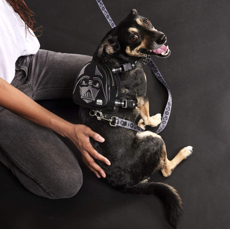 Star Wars Darth Vader x Loungefly Pets