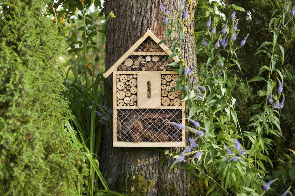 En installant un hôtel à insectes, vous favorisez la biodiversité. (Photo : Getty Images)