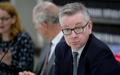 Environment secretary Michael Gove - Credit:  Christopher Furlong/Getty Images Europe