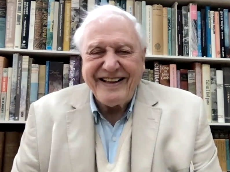 Sir David Attenborough habla sobre su nuevo documental &#39;The Year Earth Changed&#39; (BBC)