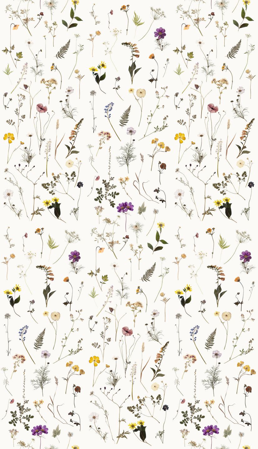 <p>Taken from a photograph of pressed English flowers, this wrapping paper by the creative studio known for its floral installations is a reminder that spring is just around the corner. It’s perfect for those who are less than keen on cold weather and dark days. £15 for 5 sheet, <a href="https://www.jamjaredit.co.uk/gifts-homeware/wrapping-paper" rel="nofollow noopener" target="_blank" data-ylk="slk:jamjaredit.co.uk;elm:context_link;itc:0;sec:content-canvas" class="link ">jamjaredit.co.uk</a></p>