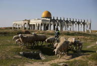 A Palestinian boy herds sheep in front of the ruins of Yasser Arafat International Airport, which was bombed by Israel in the past, in Rafah in the southern Gaza Strip February 5, 2016. REUTERS/Ibraheem Abu Mustafa