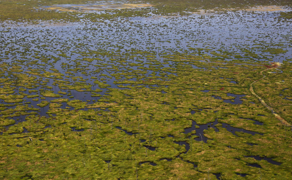 FILE - An example of fragmented and disappearing marsh, formerly cypress forest, is seen from the air in St. Bernard Parish, just outside of New Orleans, June 3, 2011. On Monday, Oct. 17, 2022, a federal appeals court ordered a nine-year-old lawsuit filed against oil and gas companies over damage to Louisiana's wetlands to be returned to state court for trial, potentially clearing the way for at least 41 similar suits to move forward. (AP Photo/Gerald Herbert, File)