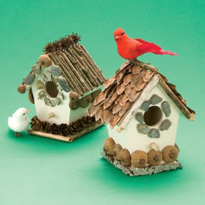 Cozy Bird Cottage