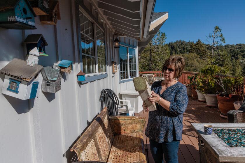 CRESTLINE, CA - OCTOBER 12: Teri Ostlie took out hundreds of thousands of her retirement to fix her home that was severely damaged in last winter's snow storm in Crestline. Ostlie at her re-built home on Thursday, Oct. 12, 2023 in Crestline, CA. (Irfan Khan / Los Angeles Times)