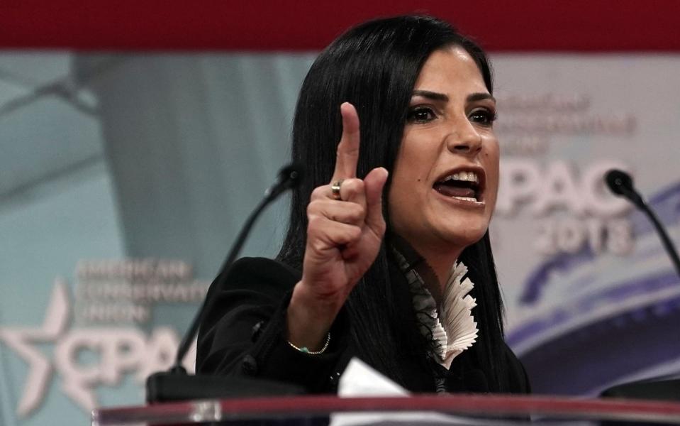 Dana Loesch  - Getty Images North America