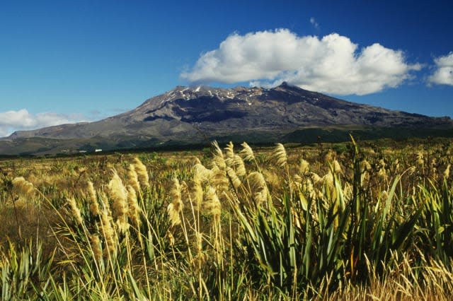 Mount Ruapehu, Central Plateau