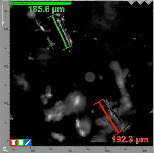 Examples of high purity lithium carbonate crystals (shown with red and green scale bars) being formed in real-time inside the SiFT Pilot Plant hot reactor.  The blurry objects in the image are similar crystals that are beyond the focal plane of the high-speed laser photomicroscope. Real-time modern analytical tools allow the reaction to be carefully monitored and enable control of the rate of crystal growth and hence purity.