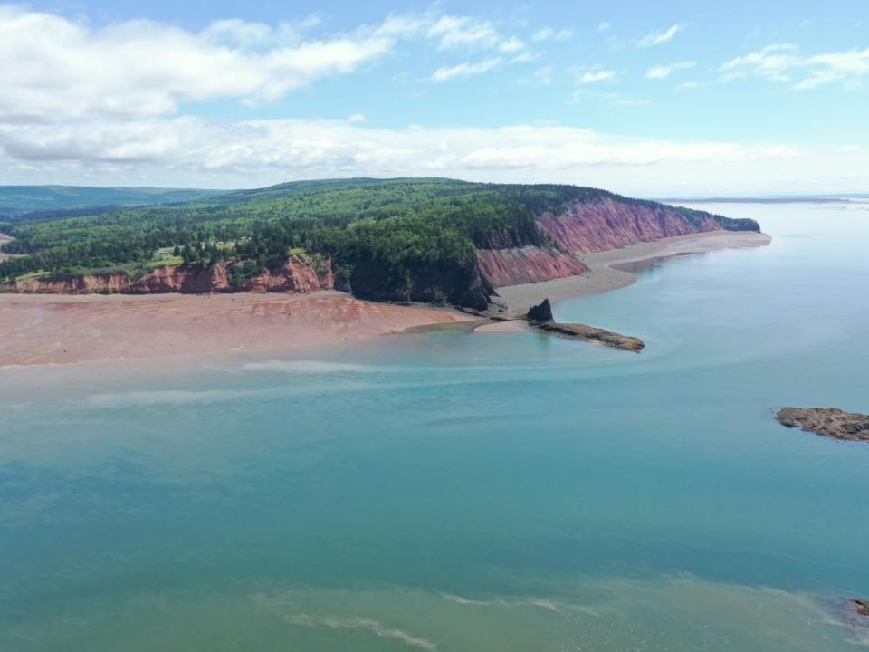 The mighty Bay of Fundy tides produce a lot of power, but harnessing it comes with risks.  (Steve Lawrence/CBC - image credit)