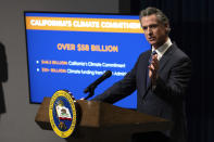 California Gov. Gavin Newsom discusses his proposed state budget for the 2024-2025 fiscal year, during a news conference in Sacramento,Calif., Wednesday, Jan. 10, 2024. (AP Photo/Rich Pedroncelli)