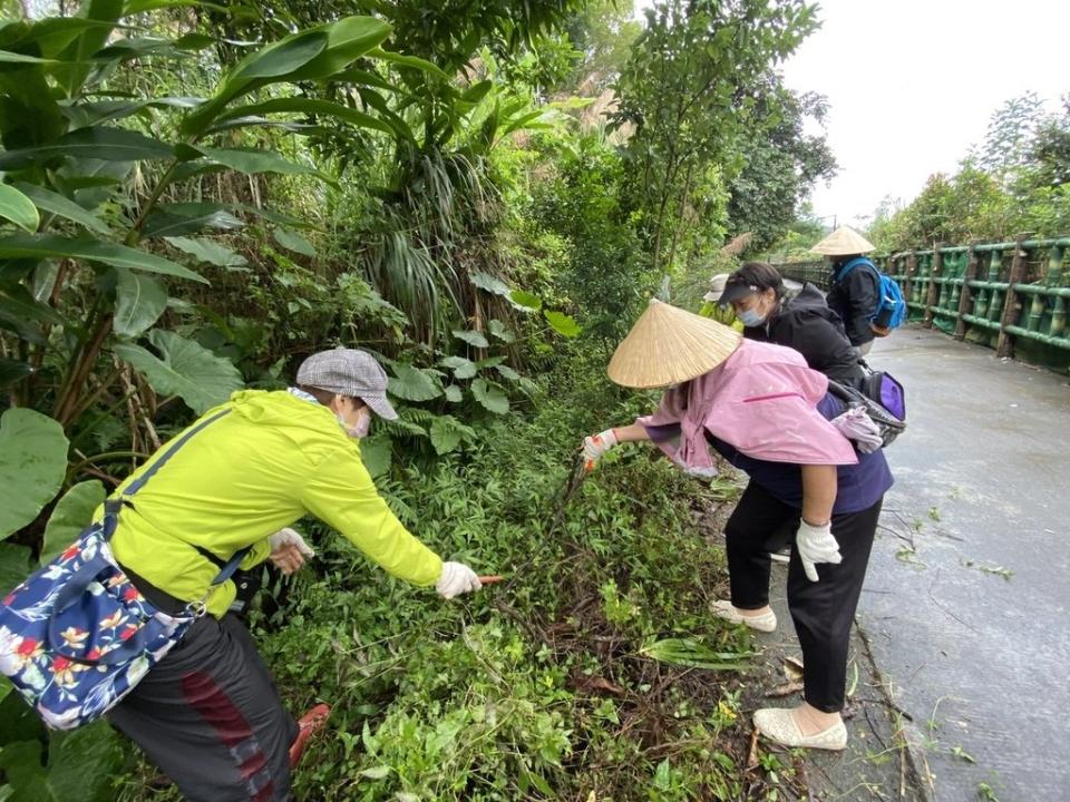 《圖說》新北市家庭志工協助清理蝴蝶步道沿途的雜草及枯木二。〈社會局提供〉