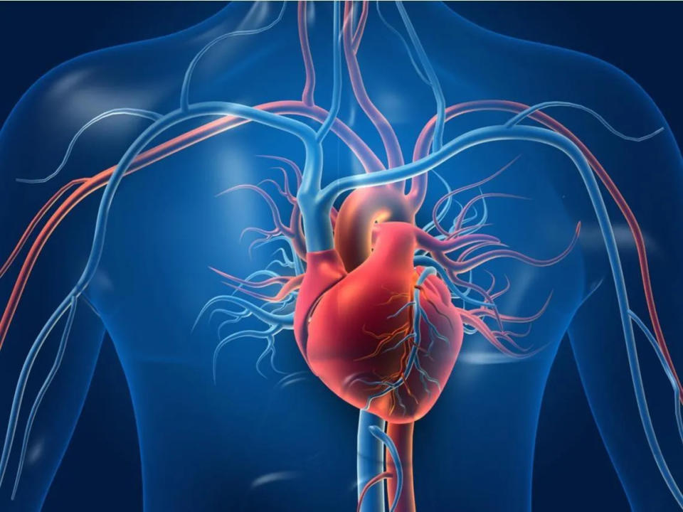 <strong>三度房室傳導阻滯大多與年齡增加所引起的缺血性心臟病有關。（示意圖／pixabay）</strong>