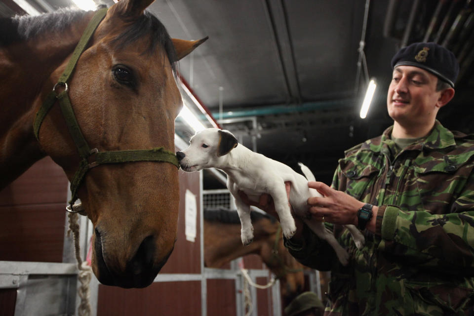 The King's Troop Royal Horse Artillery Prepare For The Major General's Review