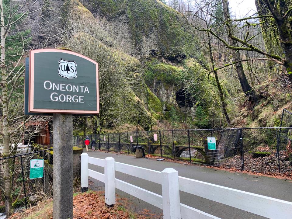 Oneonta Gorge, one of the most popular off-trail routes in the Columbia River Gorge, has been closed since the Eagle Creek Fire.