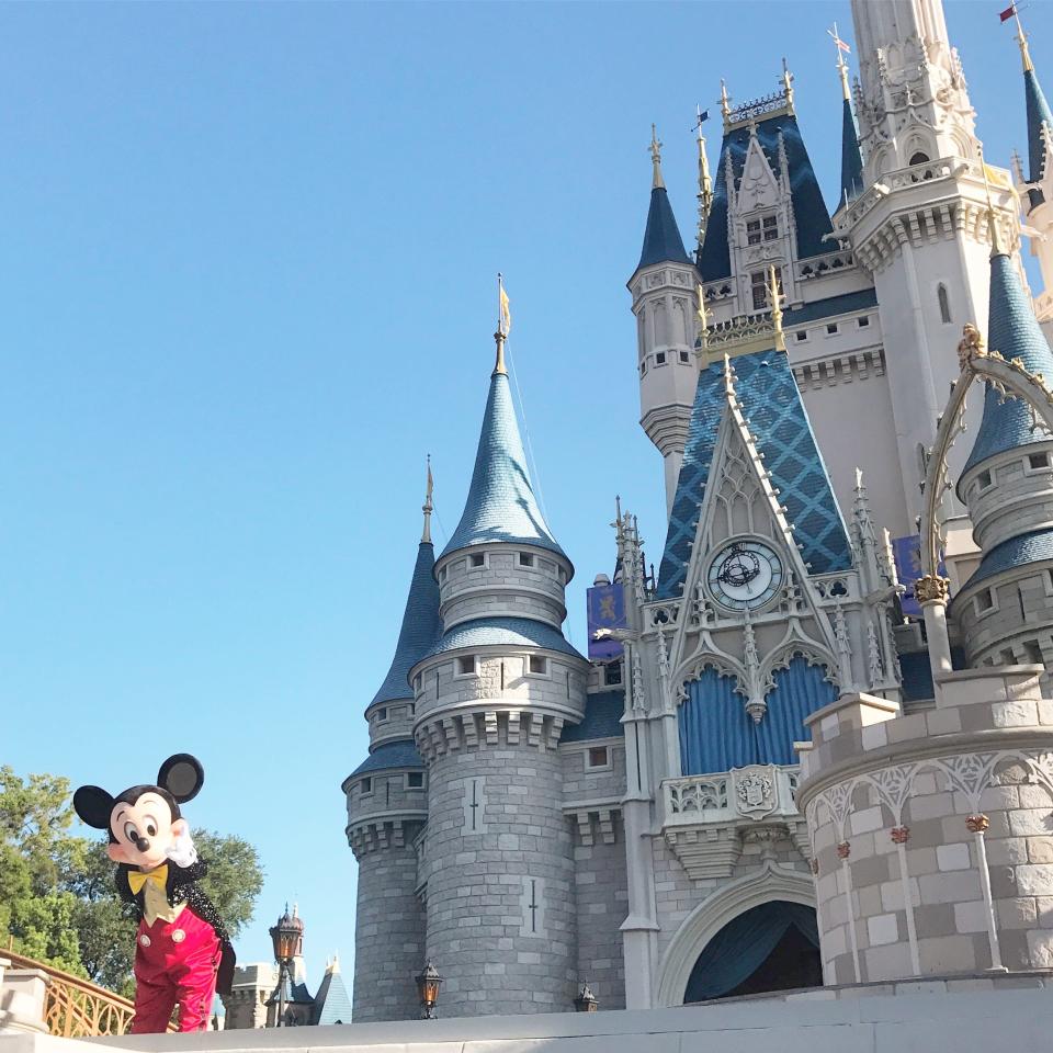 Cinderella Castle and Mickey Mouse  Megan duBois.JPG
