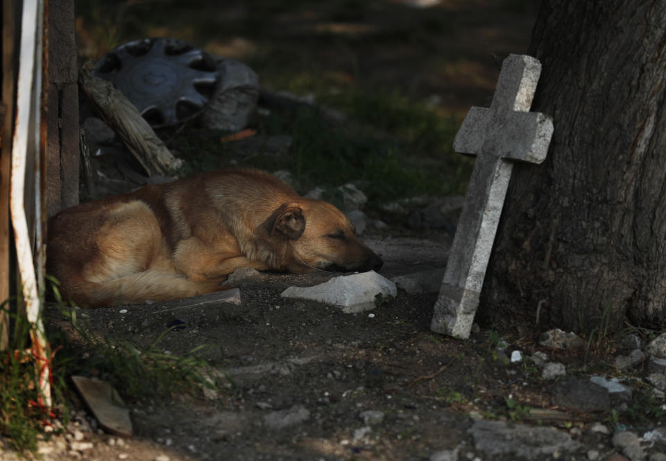 Un perro callejero duerme entre las tumbas del cementerio San Nicolás Tolentino el miércoles 27 de mayo de 2020, en la alcaldía Iztapalapa en la Ciudad de México. En el cementerio se está haciendo espacio para recibir más muertos por el coronavirus. (AP Foto/Marco Ugarte)