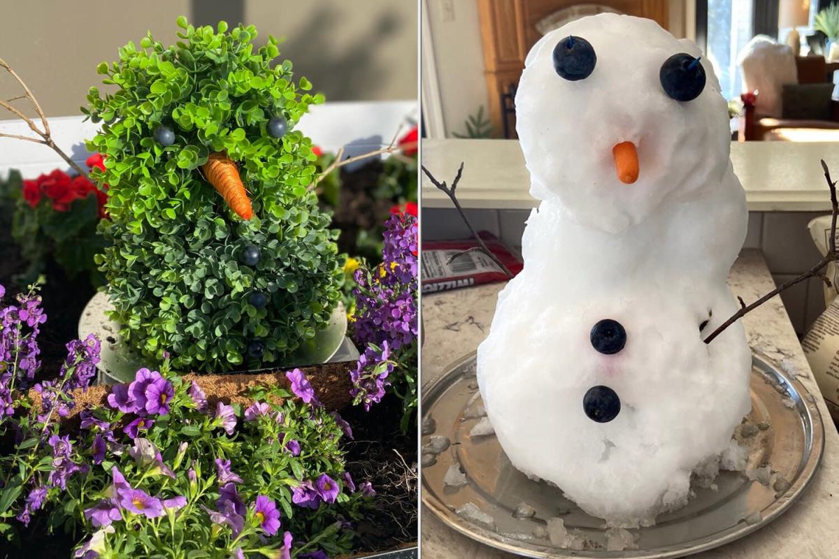 After Melting Hearts, Florida Snowman Lives on as a ‘Beautiful Flower’ in School’s Garden