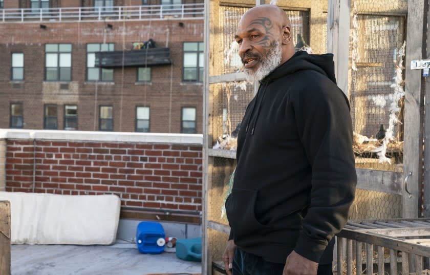 Mike Tyson appears in "The Last O.G." on TBS.