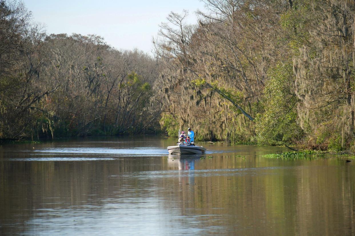 speedboat glides along the swamps of New Orleans, Lousiana