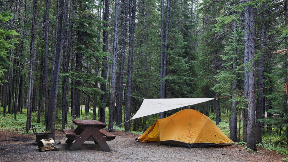 how to blackout a tent: tarp above a tent in forest