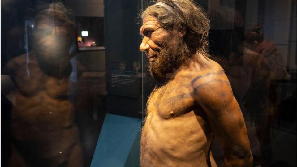 Fotografia mostra exibição no museu de história natural de londres de como seria um neandertal