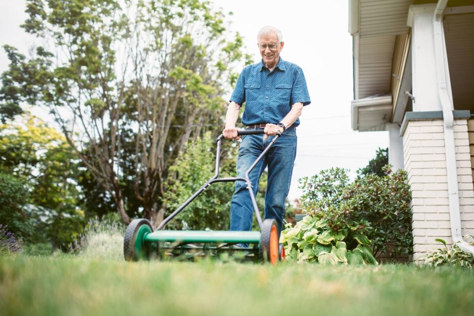 mow the lawn