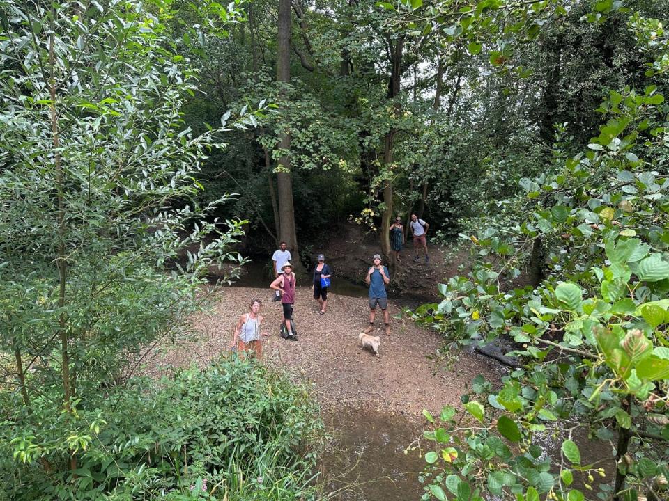 Visitors have been flocking to the park to enjoy walking in nature (Alexander Antoniou)