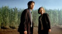 <p>The first feature for Mulder and Scully managed to satisfy both fans and newcomers to <em><a rel="nofollow noopener" href="http://www.digitalspy.com/the-x-files/" target="_blank" data-ylk="slk:The X-Files;elm:context_link;itc:0;sec:content-canvas" class="link ">The X-Files</a></em> universe. Such a shame, then, that its dodgy sequel could have been any generic horror – and not even a good one at that.</p>