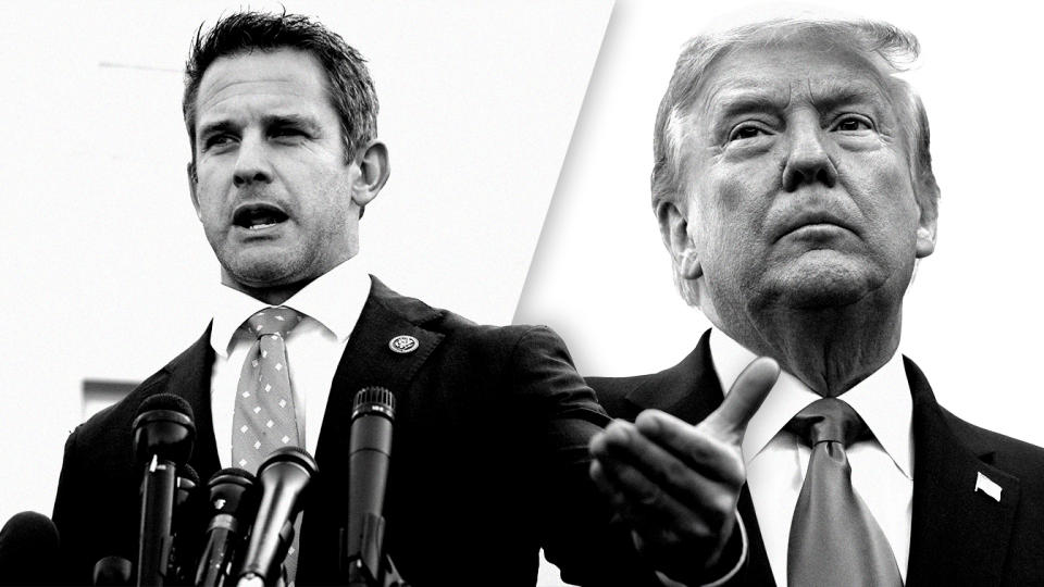 Adam Kinzinger and Donald Trump