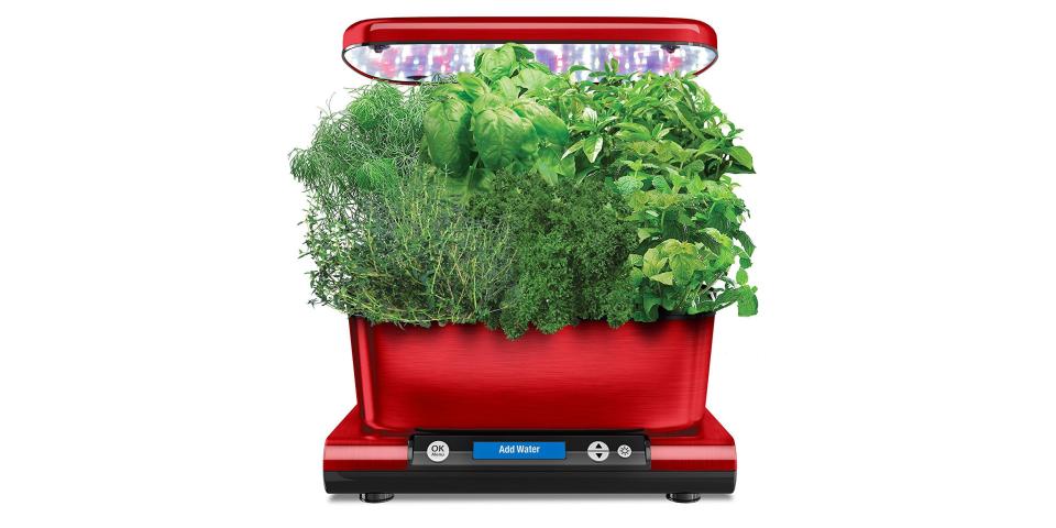 Aerogarden