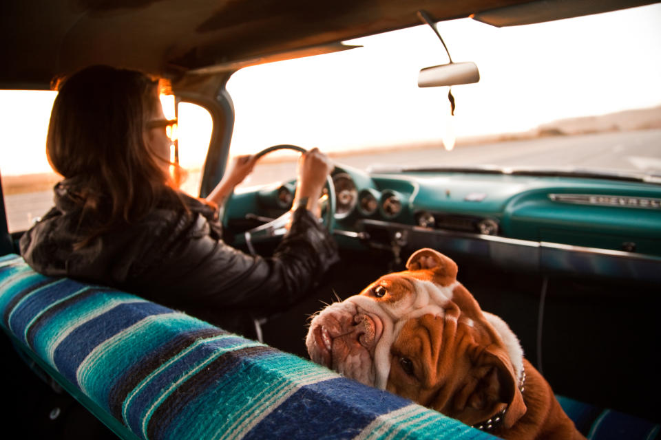 El olor de tu auto es muy importante para sentir bien cuando viajas en él. Foto: Getty Images. 