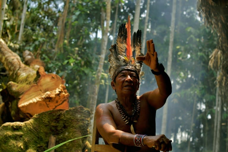 President-elect Jair Bolsonaro has said he will not give up "one centimetre more" land to indigenous communities in Brazil