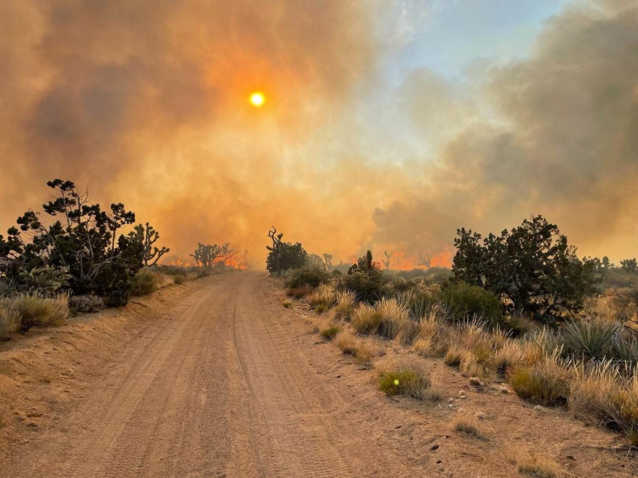 Firefighters on Friday battled the “York Fire” south of Interstate 15 and near Mountain Pass, in the Mojave National Preserve.