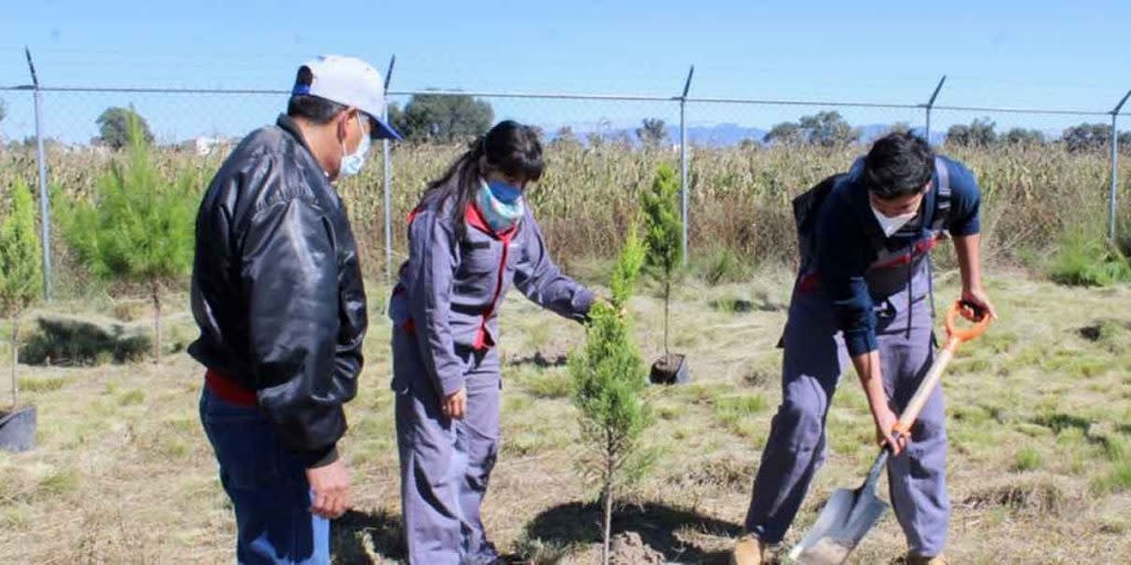 UTP realiza plantación de árboles y reciclaje