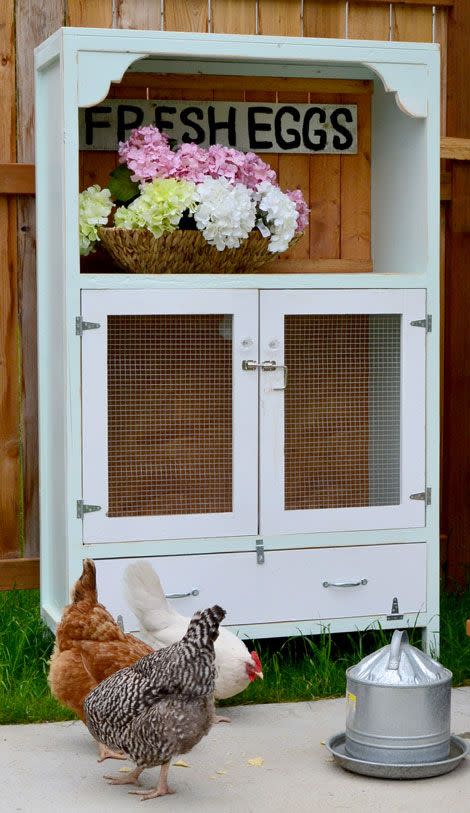 Chick Brooding Cabinet Coop