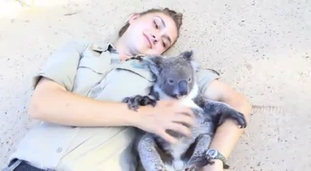 Harry the koala loves cuddles and belly rubs from Tami. Photo: Symbio Wildlife Park