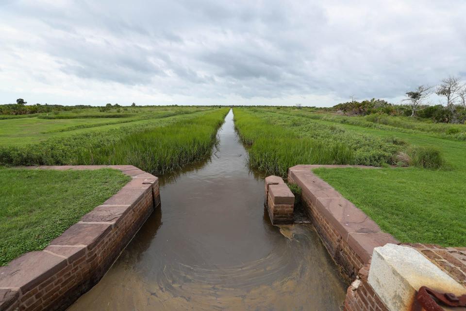 A dike and ditch system helps keep the low lying land dry around Fort Pulaski. The Army Corps of Engineers will be performing needed repairs and upgrades to the system.