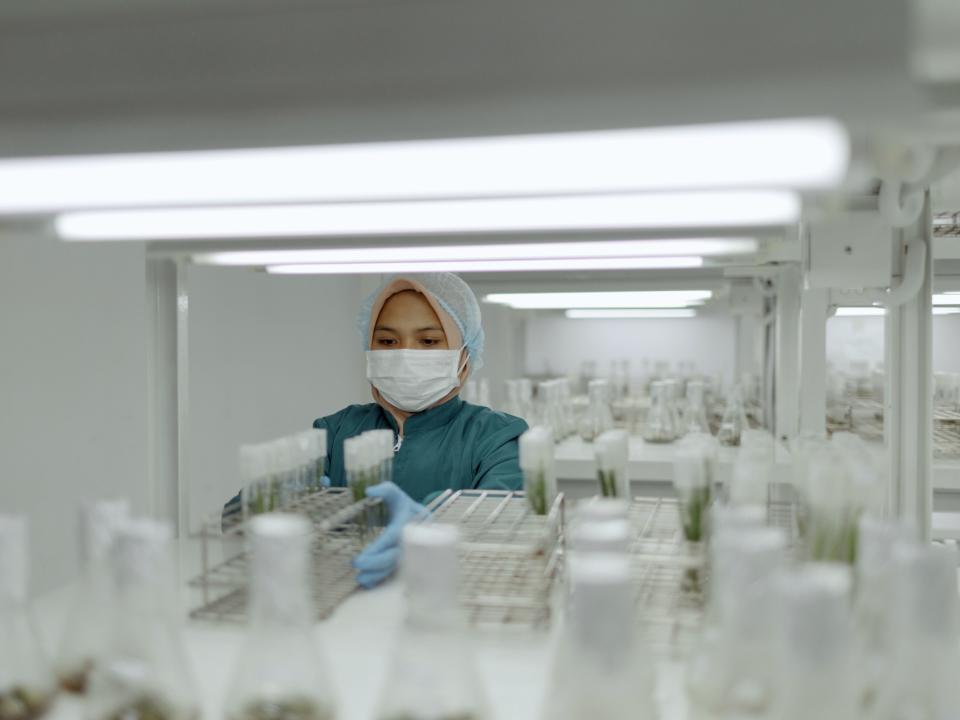 Laboratorio de cultivo celular de la unidad Astra Agro Lestari, Kalimantan central.  Fotografía: Muhammad Fadli/Bloomberg