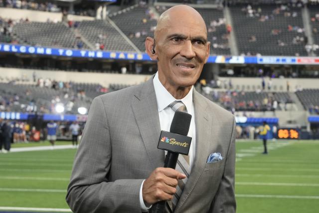 tony dungy past teams coached