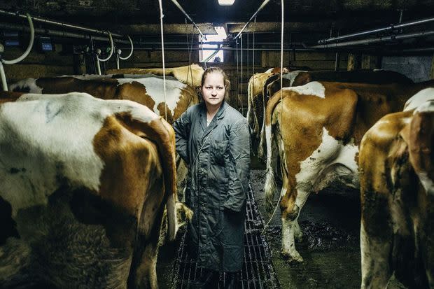 A 16h30, traite des vaches à l'étable. Elles passeront la nuit en alpage, avant de revenir au petit matin.