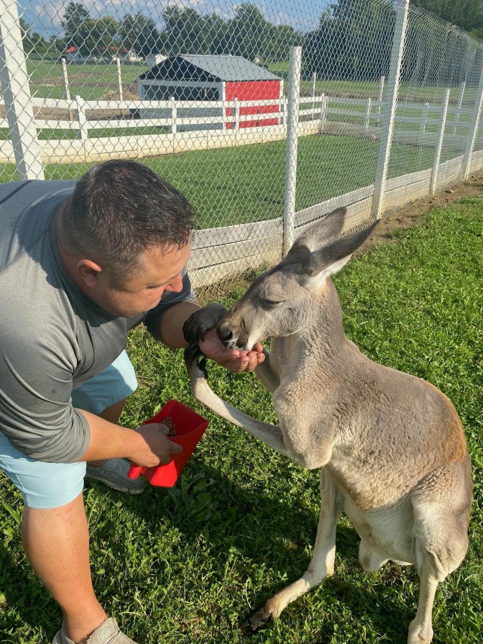 Shawn Westmeister gives Van the kangaroo a treat at he and his wife Lynn's farm, Westmeister Farm in Shelby. Numerous animals live at the 4097 Plymouth-Springmill Road farm. The 'animal encounter" is offered to visitors via private tours by booking at Westmeister.com